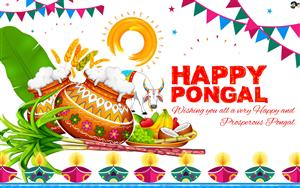 Happy Pongal, Wishing You All a Very Happy and Prosperous Pongal